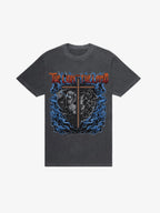 SĒK Apparel Lion & The Lamb Vintage Tee — flat lay of faith-inspired Christian vintage graphic tee with lion and lamb illustration, referencing Isaiah 11:6